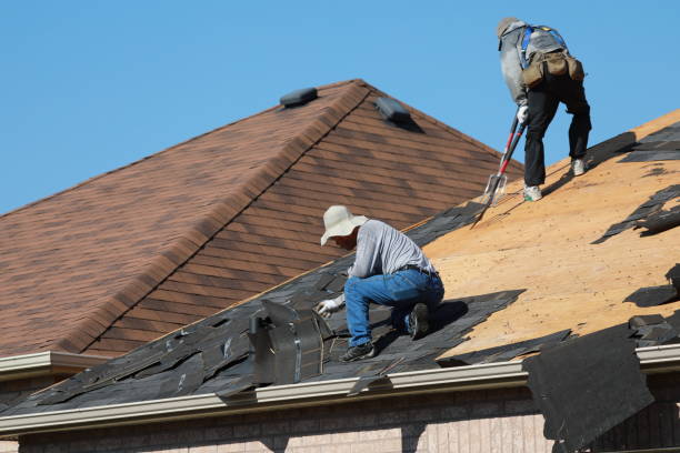 Best Gutter Installation and Repair  in Boyne City, MI