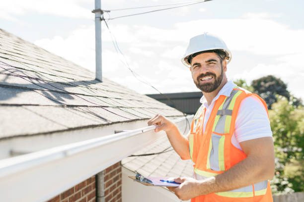 Best Roof Moss and Algae Removal  in Boyne City, MI