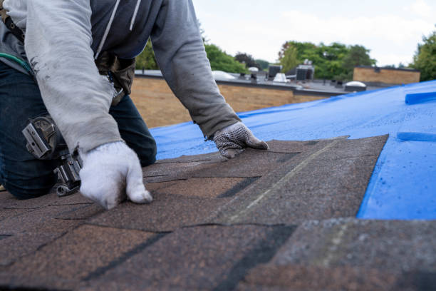 Best Metal Roofing Installation  in Boyne City, MI